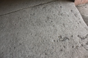Thumbnail for IMG_7663 (Medium).JPG