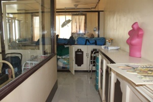 Thumbnail for IMG_7543 (Medium).JPG