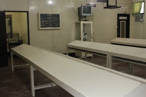 Thumbnail for IMG_7551 (Medium).JPG