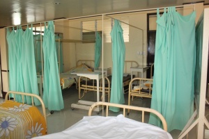 Thumbnail for IMG_7541 (Medium).JPG