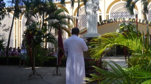 Thumbnail for DSC08125 (Medium).JPG