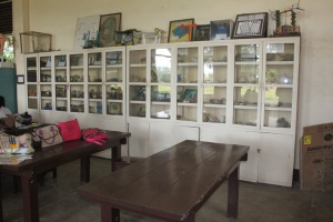 Thumbnail for IMG_7528 (Medium).JPG