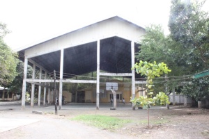 Thumbnail for IMG_7447 (Medium).JPG