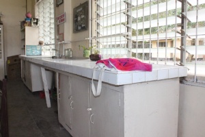 Thumbnail for IMG_7532 (Medium).JPG
