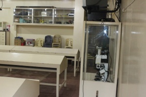 Thumbnail for IMG_7550 (Medium).JPG