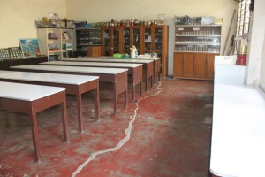 Thumbnail for IMG_7506 (Medium).JPG