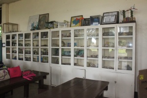 Thumbnail for IMG_7527 (Medium).JPG