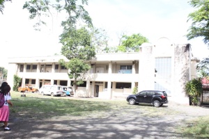 Thumbnail for IMG_7384 (Medium).JPG