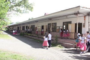 Thumbnail for IMG_7399 (Medium).JPG