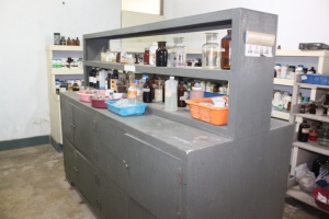 Thumbnail for IMG_7523 (Medium).JPG