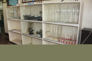 Thumbnail for IMG_7519 (Medium).JPG