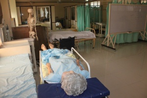 Thumbnail for IMG_7539 (Medium).JPG
