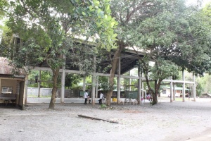 Thumbnail for IMG_7443 (Medium).JPG