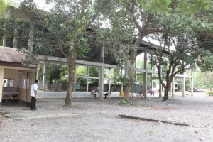 Thumbnail for IMG_7442 (Medium).JPG