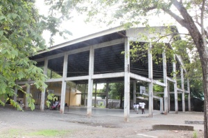 Thumbnail for IMG_7446 (Medium).JPG