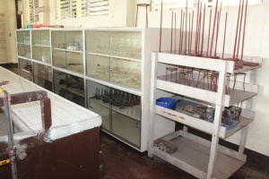 Thumbnail for IMG_7518 (Medium).JPG