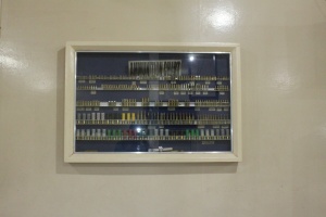 Thumbnail for IMG_7552 (Medium).JPG