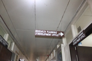 Thumbnail for IMG_7685 (Medium).JPG