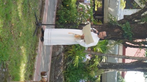 Thumbnail for DSC08141 (Medium).JPG