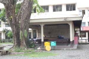 Thumbnail for IMG_7672 (Medium).JPG