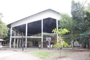 Thumbnail for IMG_7448 (Medium).JPG