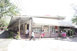 Thumbnail for IMG_7394 (Medium).JPG
