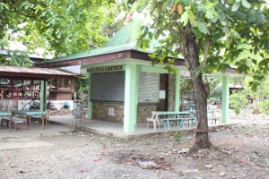 Thumbnail for IMG_7629 (Medium).JPG