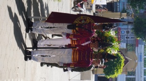 Thumbnail for DSC08114 (Medium).JPG